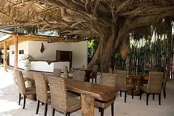 Hotel Augerine Beau Vallon (Mahe)